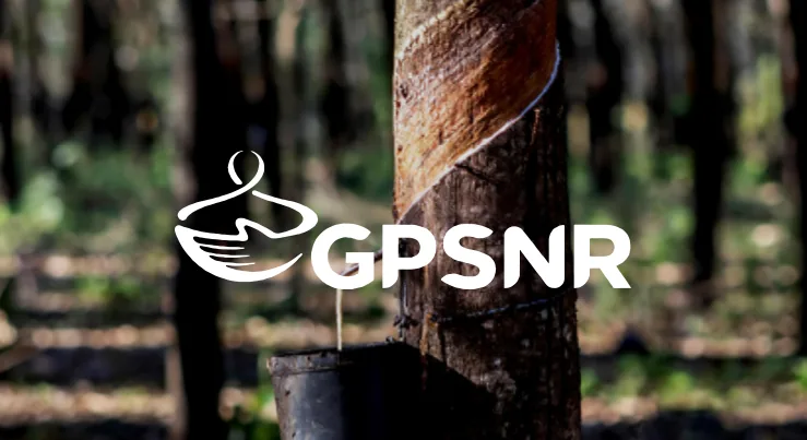 GPSNR