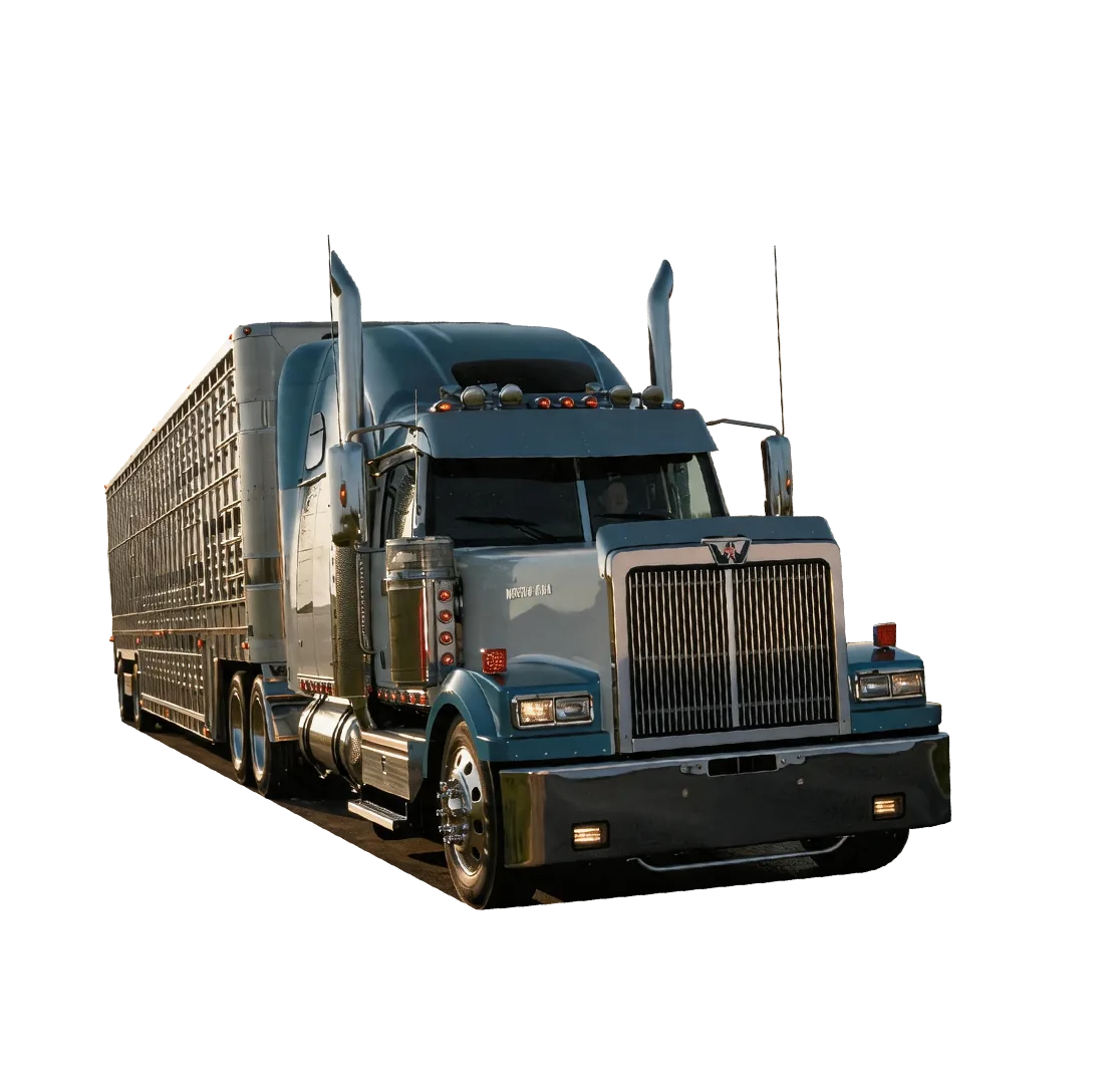 Truck